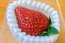 Độc lạ loại dâu tây có giá gần 10 triệu đồng/quả