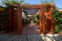 Cận cảnh nhà cấp 4 đẹp ngỡ ngàng ở Sài Gòn