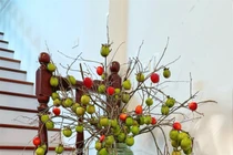 Cành quả cắm bình gây "sốt" cho chị em năm 2024 