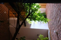 Nhà trong ngõ ngập ánh sáng nhờ thiết kế độc lạ
