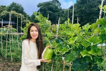 Cận cảnh nông trại bạt ngàn rau củ, cây ăn trái của Lý Hải - Minh Hà