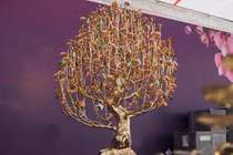 Mục sở thị cây đào mạ vàng tiền tỷ đón Tết Giáp Thìn 2024