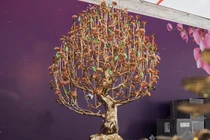 Mục sở thị cây đào mạ vàng tiền tỷ đón Tết Giáp Thìn 2024