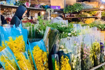 Không khí nhộn nhịp tại chợ hoa lớn nhất Hà Nội ngày giáp Tết