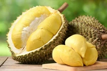 Sầu riêng mini đổ bộ chợ Việt, giá chỉ từ 50.000 đồng/quả