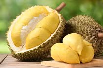 Sầu riêng mini đổ bộ chợ Việt, giá chỉ từ 50.000 đồng/quả