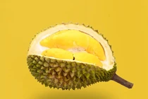 Các loại sầu riêng đắt đỏ bậc nhất hành tinh 