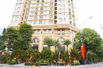 Quất khổng lồ xuống phố, hét giá trăm triệu vẫn đắt hàng