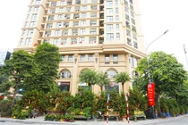 Quất khổng lồ xuống phố, hét giá trăm triệu vẫn đắt hàng