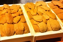 4 loại đặc sản được mệnh danh “thần dược quý ông”, giá bạc triệu