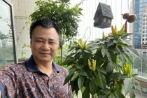 Ngỡ ngàng ngắm căn hộ với góc ban công xanh mướt của NSND Tự Long