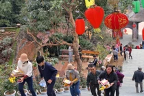 Dòng người đến Chùa Hương Tích Hà Tĩnh ngày đầu năm