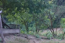 Nghệ An: Quả đồi nứt dài hơn 100m sau tiếng nổ lớn