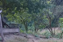 Nghệ An: Quả đồi nứt dài hơn 100m sau tiếng nổ lớn