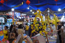 Lễ hội Đường Sách Tết: Không gian văn hóa đặc sắc ngày xuân tại TP HCM