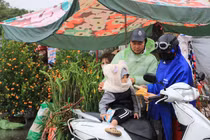 Nam Định: Người dân đội mưa, chịu rét “chở Tết” về nhà