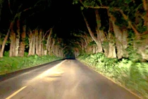 Lạnh gáy các địa điểm ma ám ở Hawaii, nhiều người chết khiếp