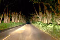 Lạnh gáy các địa điểm ma ám ở Hawaii, nhiều người chết khiếp