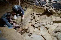 Choáng nặng thấy xương ma mút 40.000 tuổi chất đống trong hầm rượu