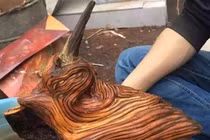 Thấy khúc gỗ lạ khi dọn mộ tổ, chuyên gia phán: “Phát tài to!” 