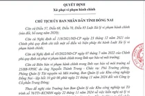 Công ty CP Trung Đông bị xử phạt 410 triệu do vi phạm môi trường
