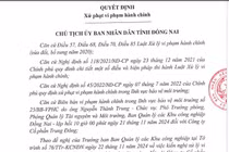 Công ty CP Trung Đông bị xử phạt 410 triệu do vi phạm môi trường
