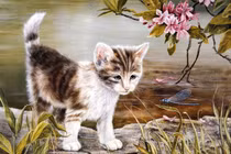 Tuần mới (2/1 - 9/1/2023): 4 con giáp gặp may tớp tấp, lộ rõ sang giàu 