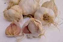 Ăn tỏi mỗi ngày phòng bệnh, người đàn ông phải đến bệnh viện khẩn cấp