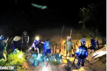 Hàng trăm người trắng đêm cứu con đập bị vỡ tại Nghệ An