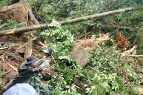 Liên tiếp xảy ra động đất mạnh ở Quảng Nam, Kon Tum