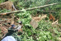 Liên tiếp xảy ra động đất mạnh ở Quảng Nam, Kon Tum