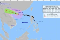 Siêu bão Yagi mạnh mức nào, người dân cần làm gì để đảm bảo an toàn?