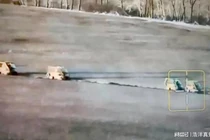 Quân Ukraine tại Kursk tan tác vì cuộc tấn công bất ngờ của 10.000 lính Nga