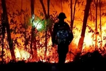 Nhiều nơi liên tiếp xảy ra các vụ cháy rừng do nắng nóng?