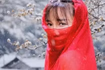 Lý Tử Thất hé lộ thu nhập khủng mỗi tháng