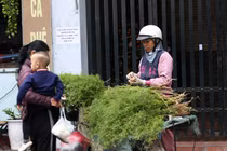 Tắm nước lá mùi già, nét đẹp phong tục ngày Tết