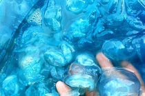 Nuốc xanh: Món sashimi độc lạ mùa hè