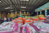 Khởi tố cặp vợ chồng doanh nhân sản xuất phân bón giả ở Đắk Lắk