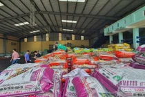 Khởi tố cặp vợ chồng doanh nhân sản xuất phân bón giả ở Đắk Lắk