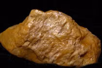 Đi đào măng, lão nông nhặt được hòn đá có giá gần 2.000 tỷ đồng