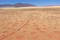 Bí ẩn “vòng tròn thần tiên” xuất hiện ở 15 nước, chuyên gia nói gì? 