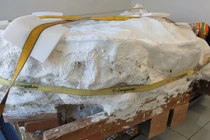 Giật mình khối đá nặng 9 tấn, bên trong lúc nhúc toàn “quái vật“