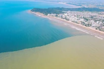 Lý do nước biển Sầm Sơn đổi màu