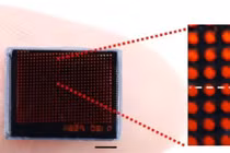 Chụp ảnh siêu nét với camera mô phỏng mắt kép của côn trùng 