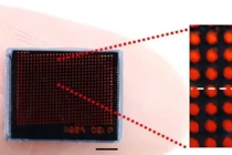 Chụp ảnh siêu nét với camera mô phỏng mắt kép của côn trùng 