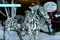 10 bức hình quái quỷ nhất hành tinh, lần nào xem cũng ám ảnh 