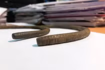 Vô tình nhặt được vòng cổ vỡ đôi, ai ngờ là báu vật vô song