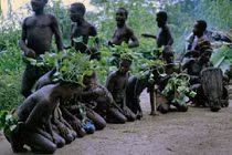 Bộ tộc tí hon với chiều cao chỉ khoảng 1,2-1,4m ở miền Trung và Tây Phi