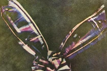 Loạt ảnh đầu tiên của nhân loại khiến người xem "sởn tóc gáy" 