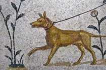 Rợn người lễ hiến tế hơn 140 con chó ở Anh trong mộ cổ